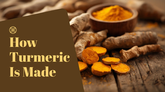 Fresh raw turmeric root and golden turmeric powder on a wooden table, illustrating how turmeric is made